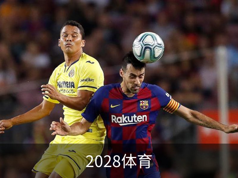 2028体育概况